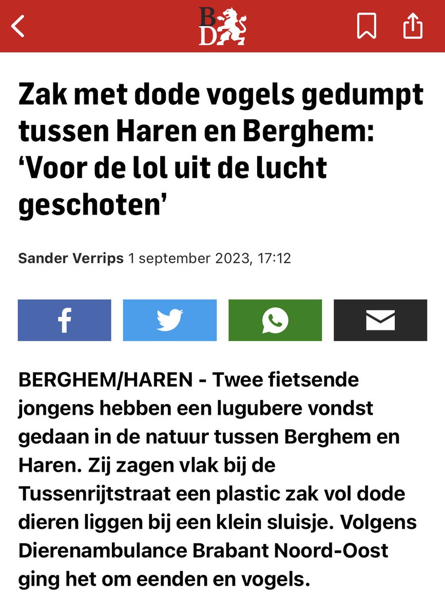 marcvb_bridge's tweet photo. ⁦@bdossenomgeving⁩ die omschrijving doet me denken aan het Amsterdamse ‘je hebt sijssies en drijfsijssies’; zijn eenden geen vogels? https://t.co/oUmv1YfWpi