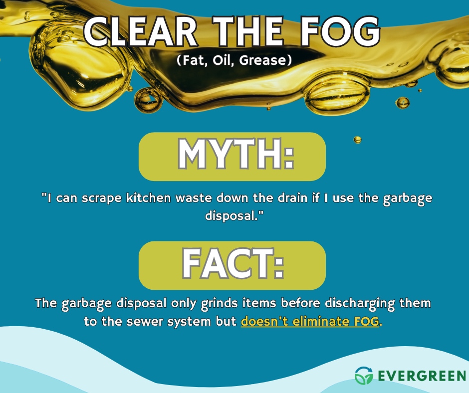 EvergreenGrease's tweet photo. Don't let FOG clog your drains! Garbage disposal ≠ FOG disposal. Keep pipes clear with expert https://t.co/xOCg1hzQIO us today! Prevent plumbing nightmares—bust the myth and ensure grease-free drains for a smoother flow! https://t.co/KThkdyYJ9w #GreaseSolutions #GreaseManagement https://t.co/U7TPEZV7ki