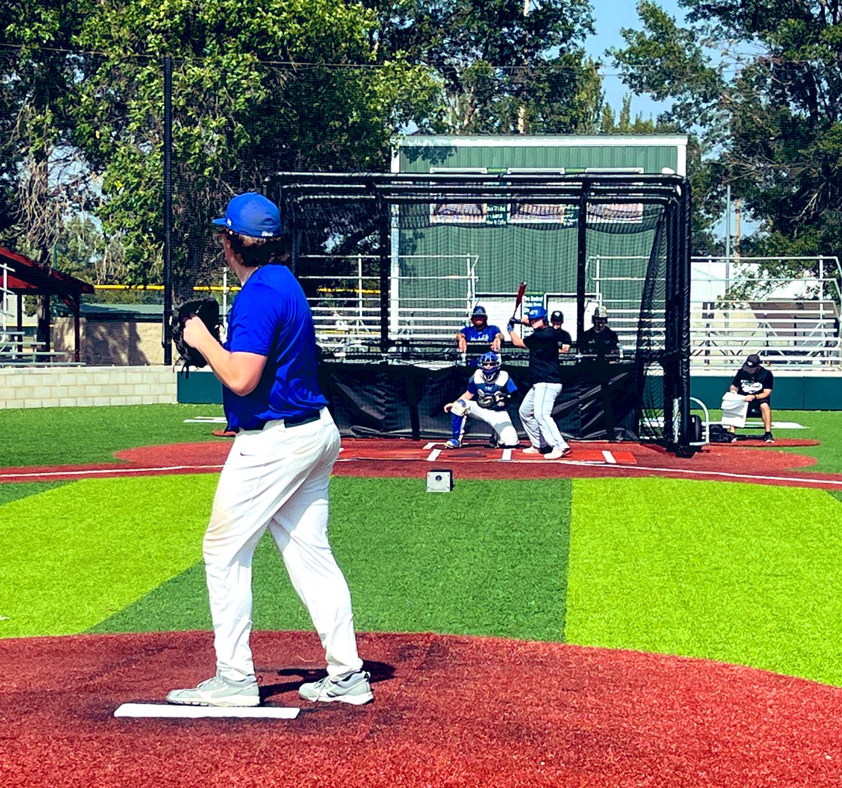 DWU Baseball tweet media