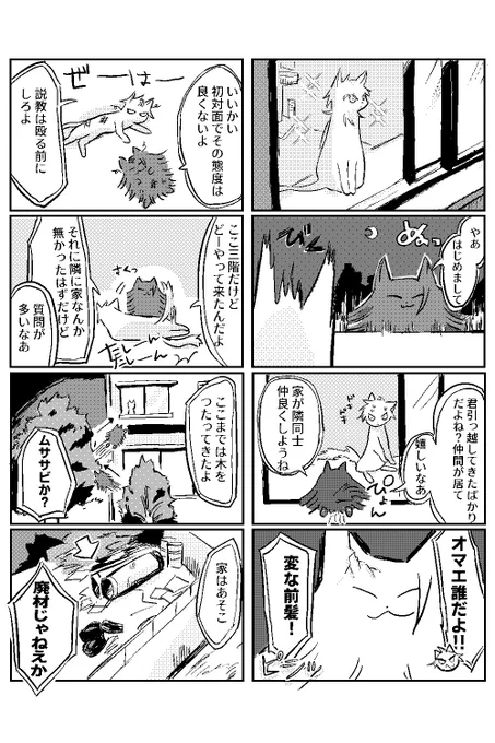 ねこ五夏 