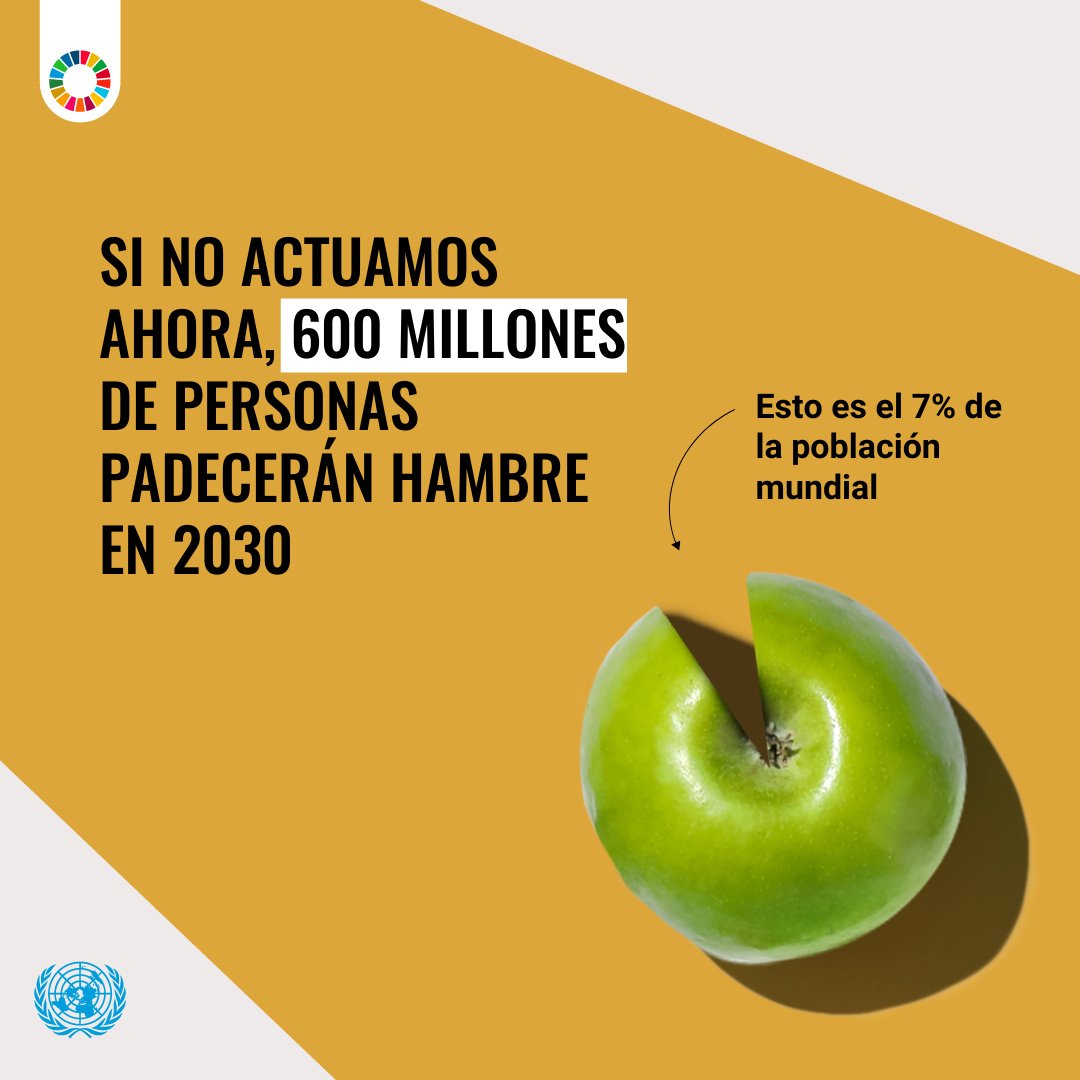 Nadie debería pasar hambre. Jamás. Sin embargo, si no tomamos medidas ahora, 600 millones de personas podrían sufrir hambre para 2030. Descubre cómo puedes ayudar al logro de los #ObjetivosMundiales y a un mundo de #HambreCero: un.org/es/actnow #ActúaAhora