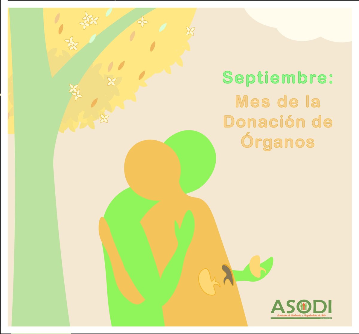 💚🧡 Hoy damos inicio al Mes de la Donación de Órganos y Tejidos, mes en el que homenajeamos este acto de amor.