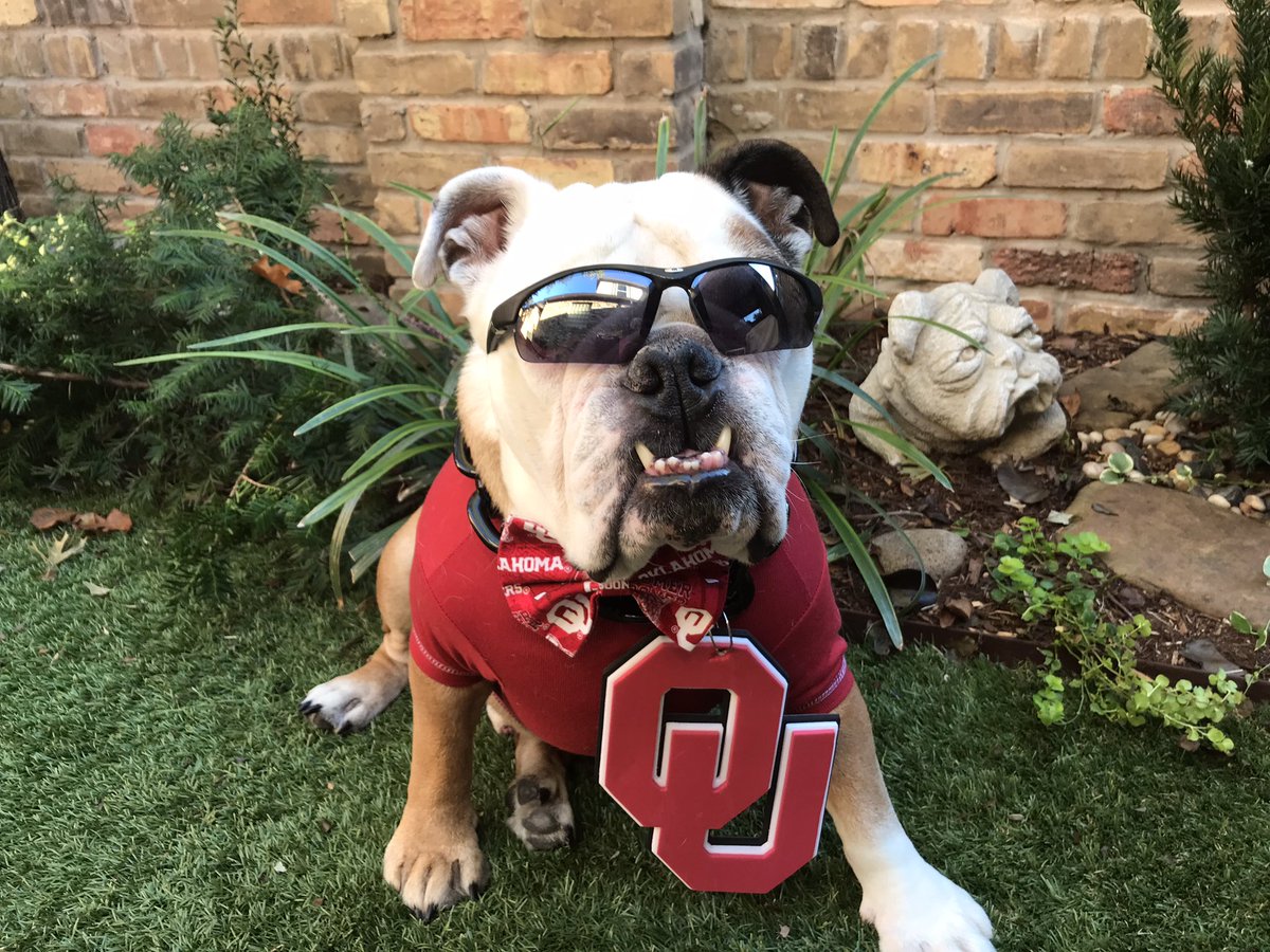 Happy #CollegeColorsDay …BOOMER!
Who you got?