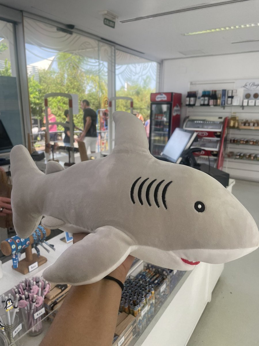 MariOsorioSulb's tweet photo. yo en un acuario ahora mismo, mis compras necesarias: https://t.co/VJaQtTgP1B