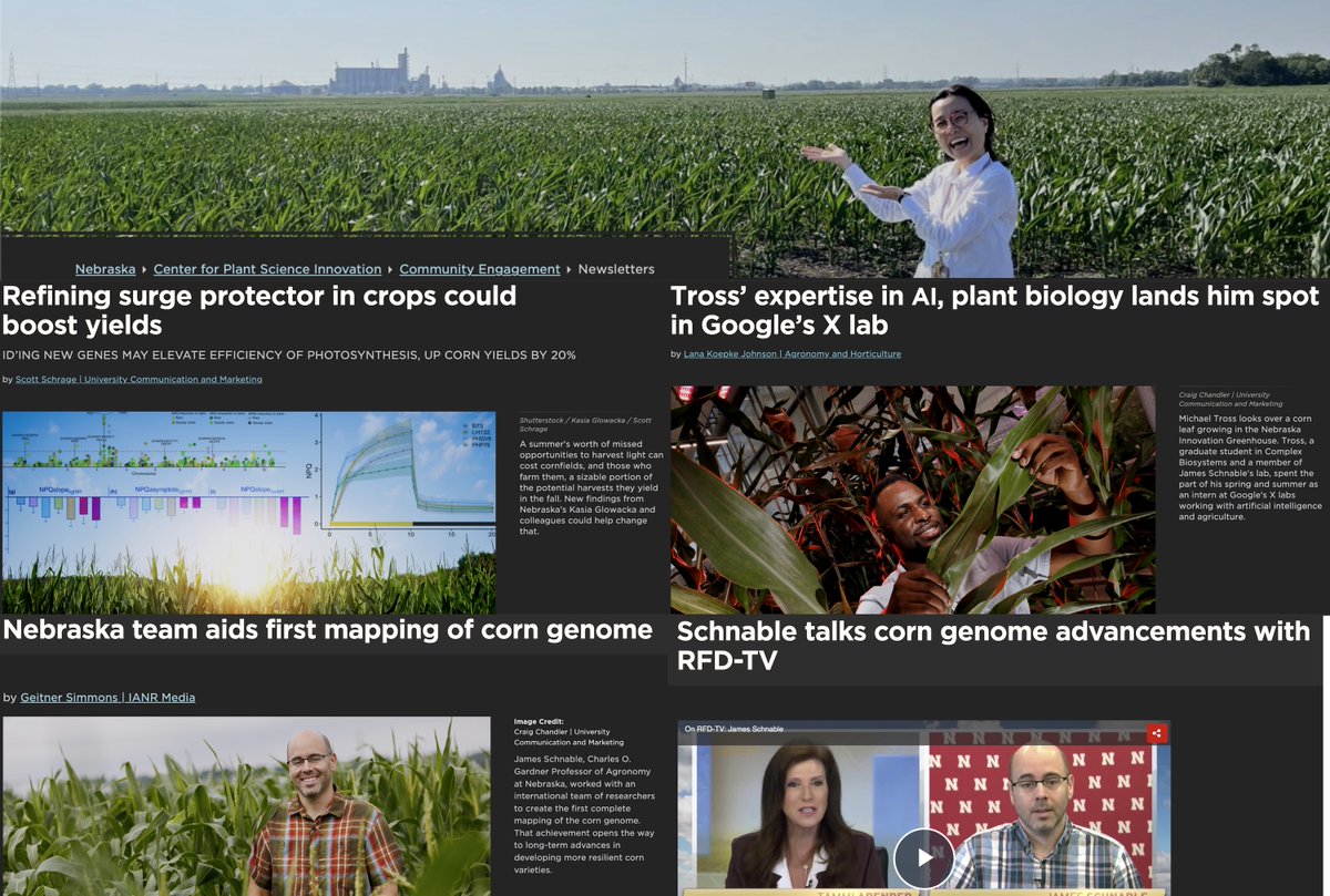 It's been a corny summer for our lab and our collaborators <a href="/Glowacka_Lab/">Kasia Glowacka</a>  and <a href="/cutebyul81/">Saet-Byul Kim</a> here in the University Of Nebraska's Center for Plant Science Innovation. unl.edu/psi/september-…