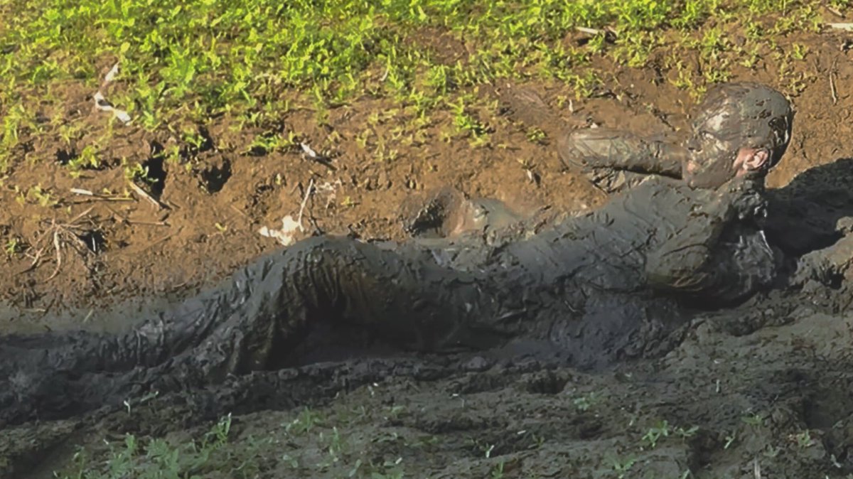 stepfawnstudio's tweet photo. Farmland Mud Wallow II 🌾 https://t.co/WB1VpzOCRK
