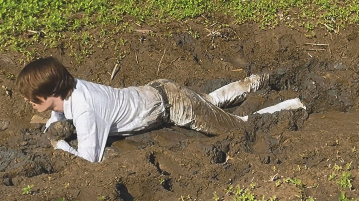 stepfawnstudio's tweet photo. Farmland Mud Wallow II 🌾 https://t.co/WB1VpzOCRK