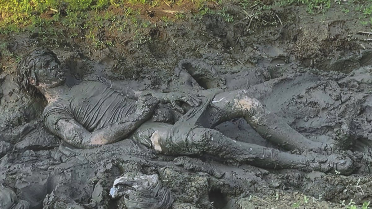 Farmland Mud Wallow II 🌾