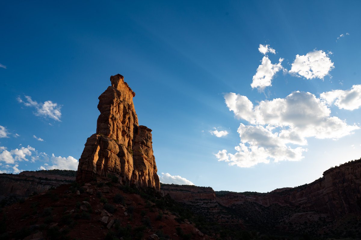 Russell Danielson tweet media