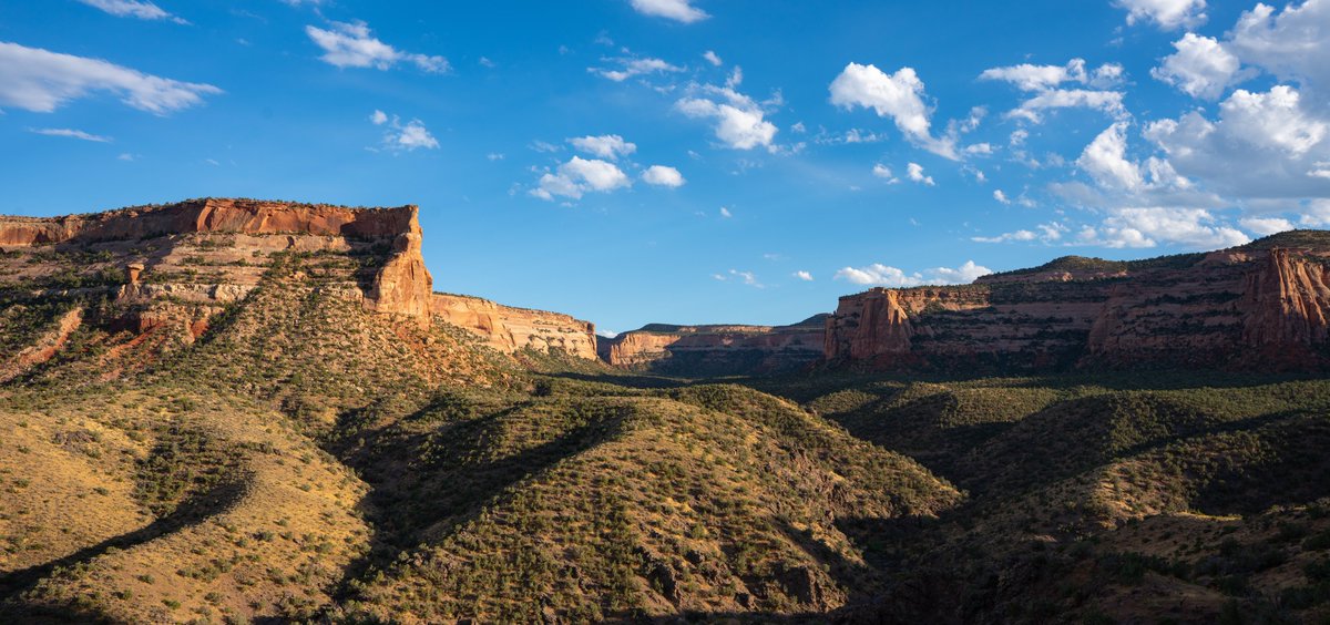 Russell Danielson tweet media