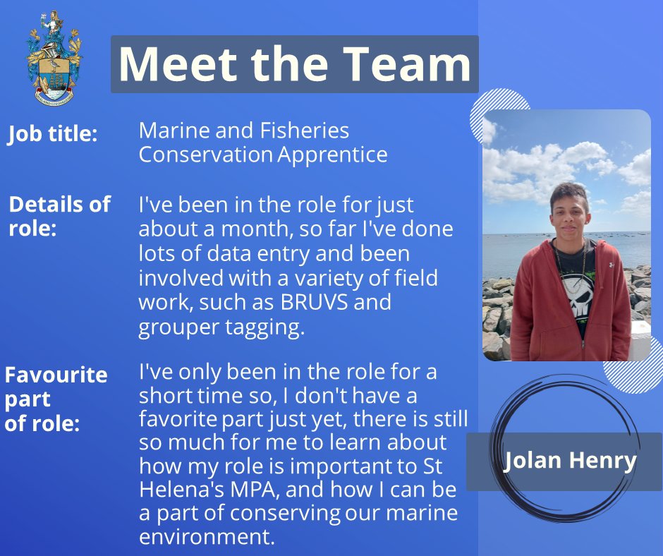 sthelenampa's tweet photo. Joining the Marine and Fisheries Conservation Section is new staff.Introducing Jolan Henry, our Apprentice.A role that has been funded by the @ukgovbluebelt and involves ensuring that data collected is managed effectively. #smallislandBIGFUTURE #sthelenaMPA #newrecuits #sayhello https://t.co/MsmoighUpb