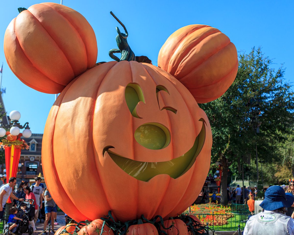 EricSt's tweet photo. Today marks the start of Halloween Time at the Disneyland Resort! To kick things off, let's take a journey back to 2018 with Pumpkin Mickey on Main Street U.S.A.
#DisneylandResort @Disneyland https://t.co/vah9LJpIlT