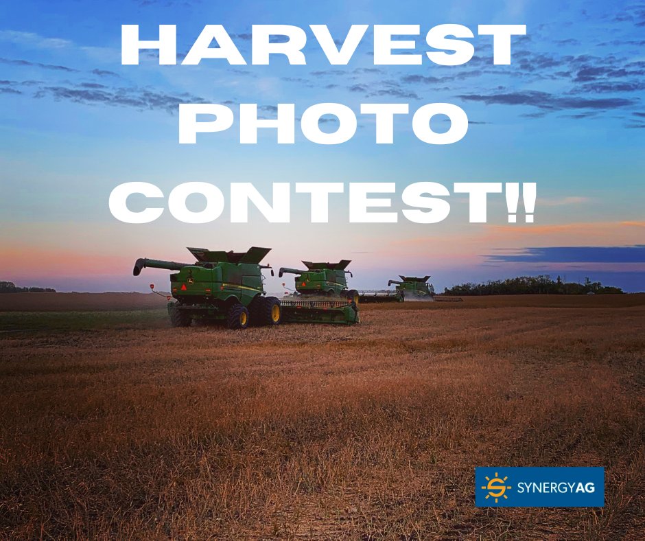 Harvest photo contest‼️‼️

Drop a harvest pic in the comments 👇 for a chance to win some cool #synergyag prizes! Draw will be made at the end of September!

#rootsyoucancounton #Harvest23