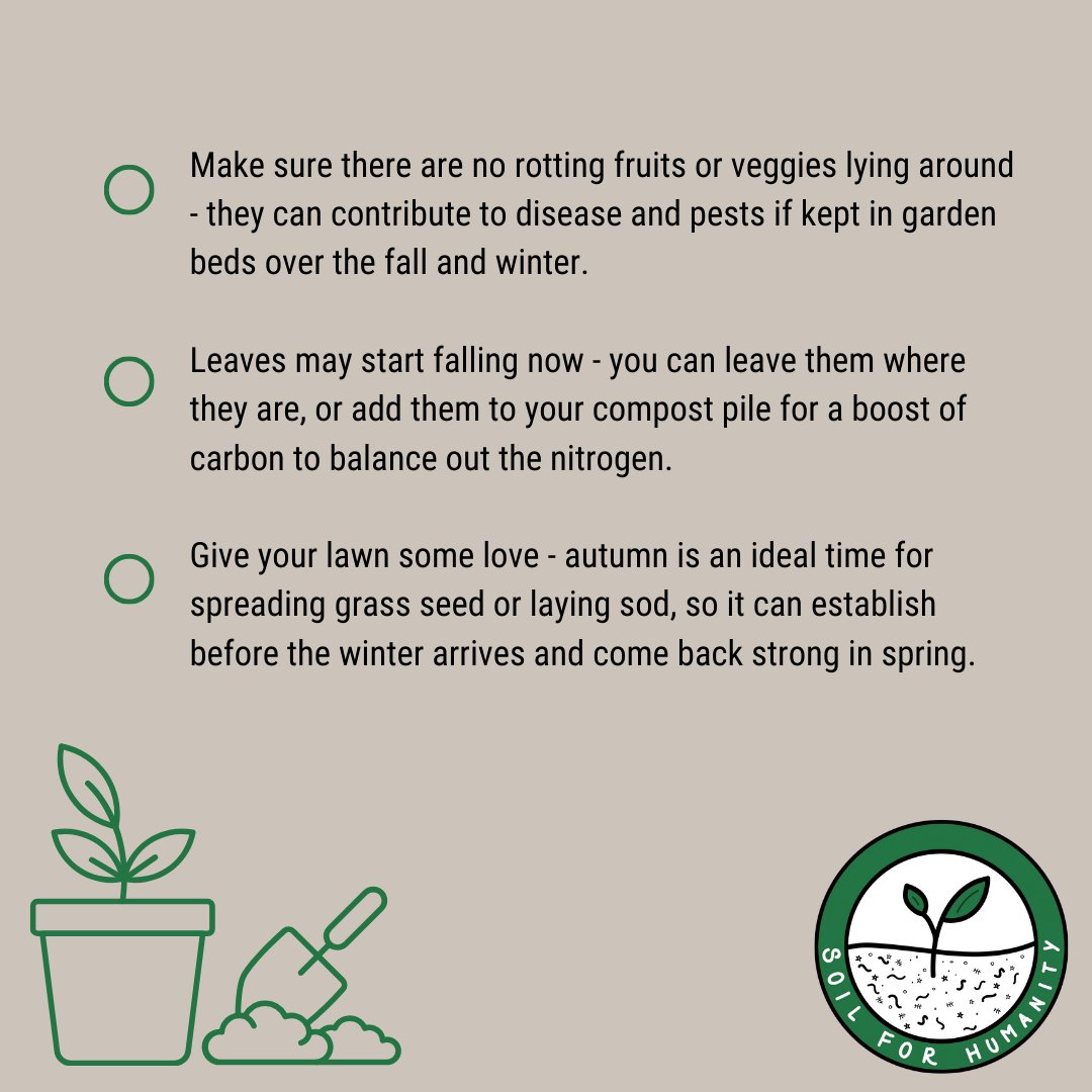 As summer slowly begins to wind down, here are some #gardening tasks you will want to tackle in #September...

What else would you add to this list?

#fallgarden #gardentasks #organicgardening #gardeningtips #gardeningtricks #gardeninglife