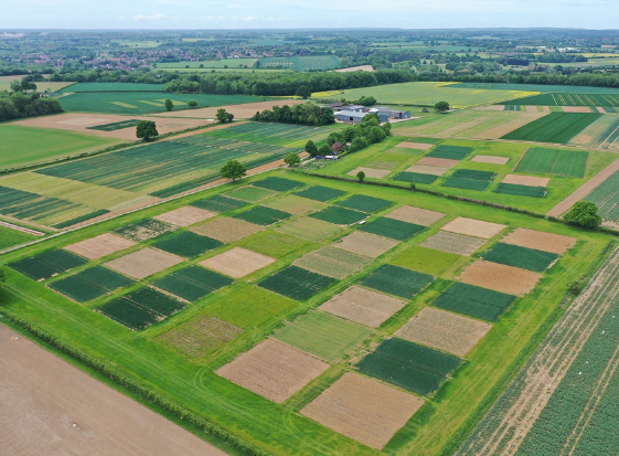 Rothamsted Long-Term Experiments tweet media