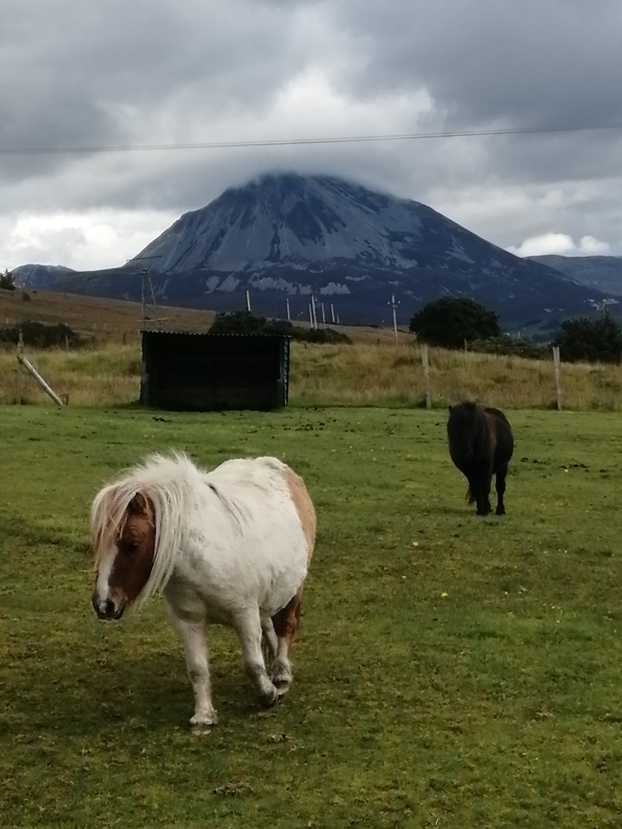 David P Mitchell tweet media