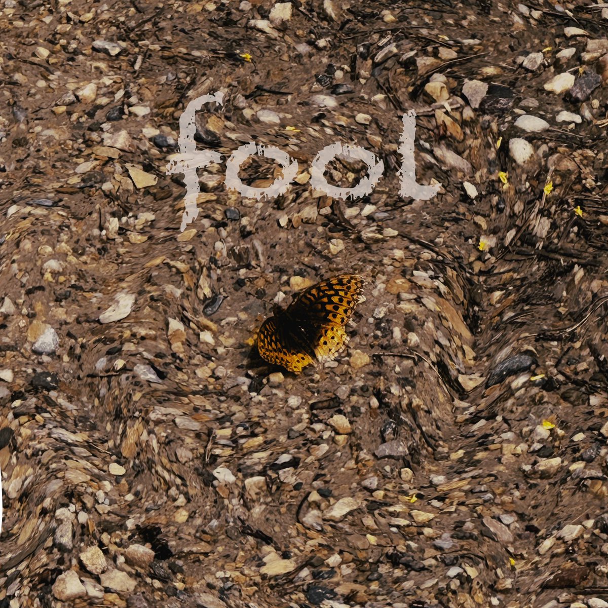 CaRterWMusic's tweet image. “fool” is out now on all streaming platforms 🤙🏼 go check it out