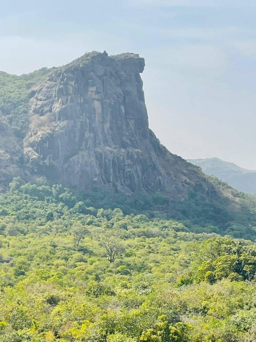 BahBea's tweet image. Dans la chaleur dorée de l&apos;Afrique,sous le soleil qui brille,
Un continent vibrant de cultures,de coutumes, de rêves &amp;amp;de merveilles.
Des paysages à couper le souffle,des savanes à perte de vue,
L&apos;Afrique,berceau de l&apos;humanité,nous invite à la découverte
#DamedeMali #MaliYembering