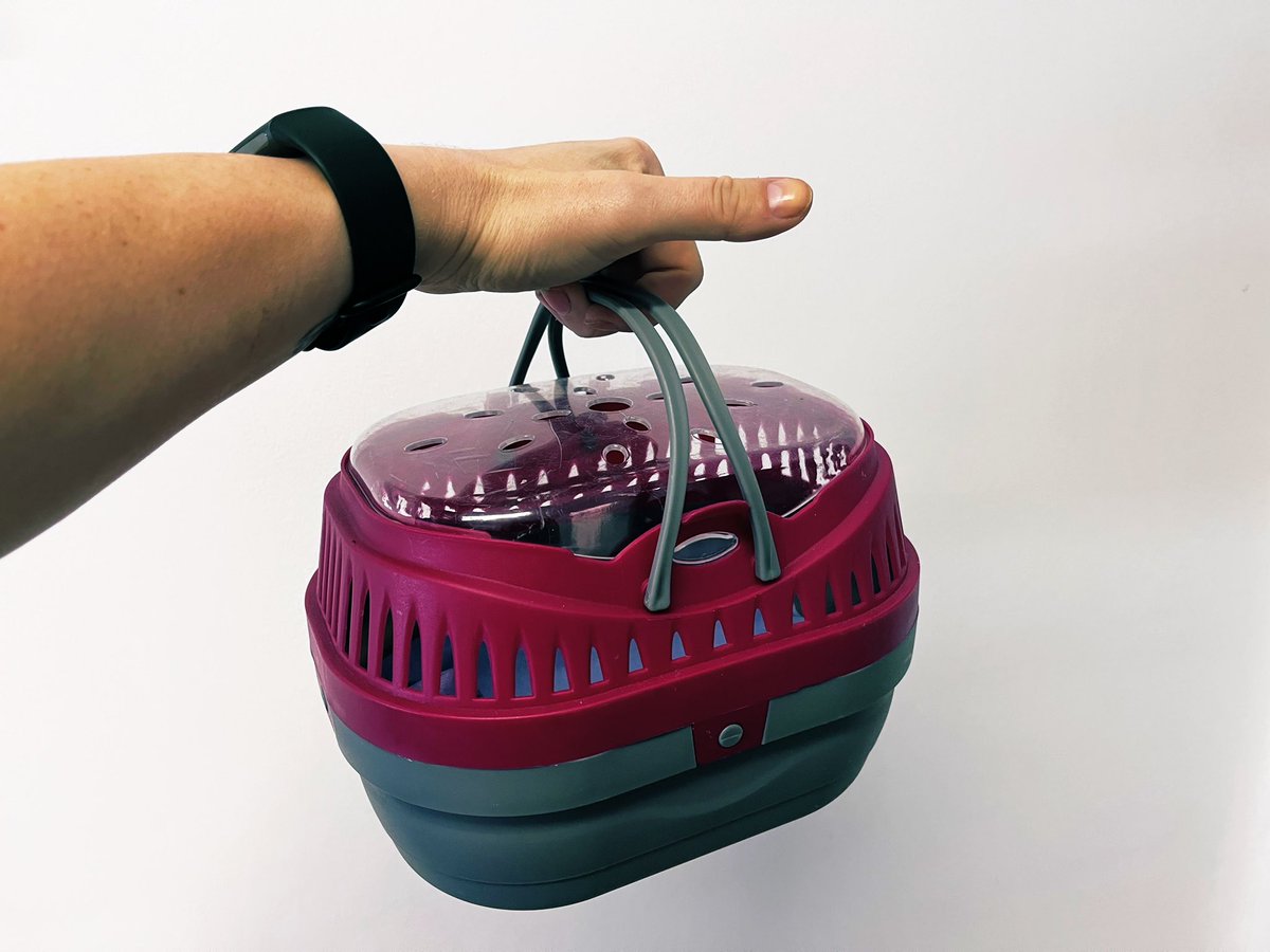 Sharkbaitpaints tweet media