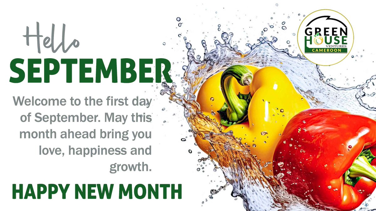 Happy new month to you and your loved ones.

#greenhouseventures
#agriculture