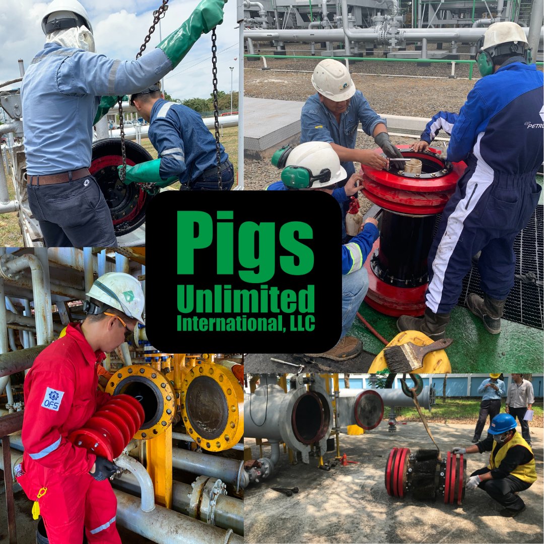 Pigs Unlimited tweet media