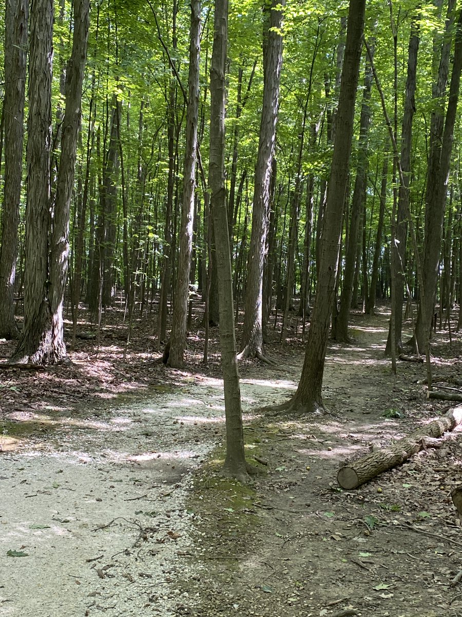 Akron-Summit County Public Library tweet media