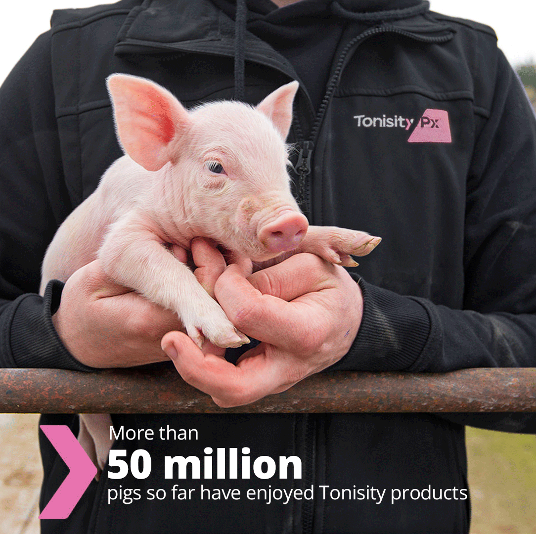 GetTonisity's tweet photo. Pigs around the world have enjoyed the benefits of Tonisity products. Join them and introduce your pigs to this isotonic protein drink.
👉 Contact us: https://t.co/dy8hsoPRnO

#tonisity #tonisitypx #tonisitypigs #swine #porkfarm https://t.co/KYgkdqeilh