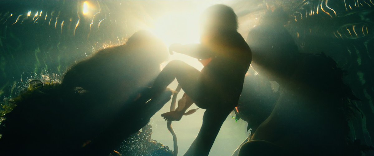 Marvel Perfect Shots tweet media