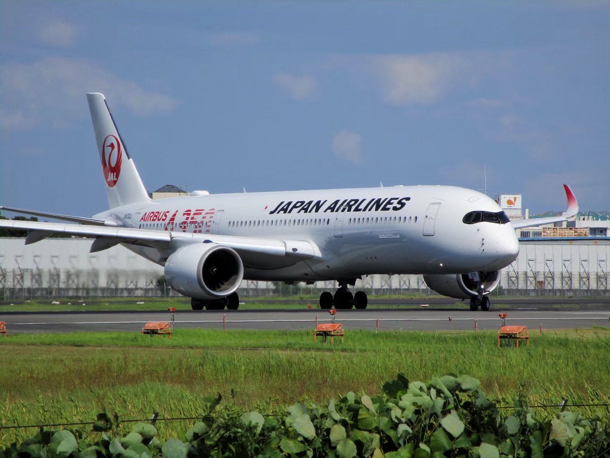 今日は伊丹に那覇便で赤いたぬきが来るみたいですね〜
おやすみなさいまし🌙