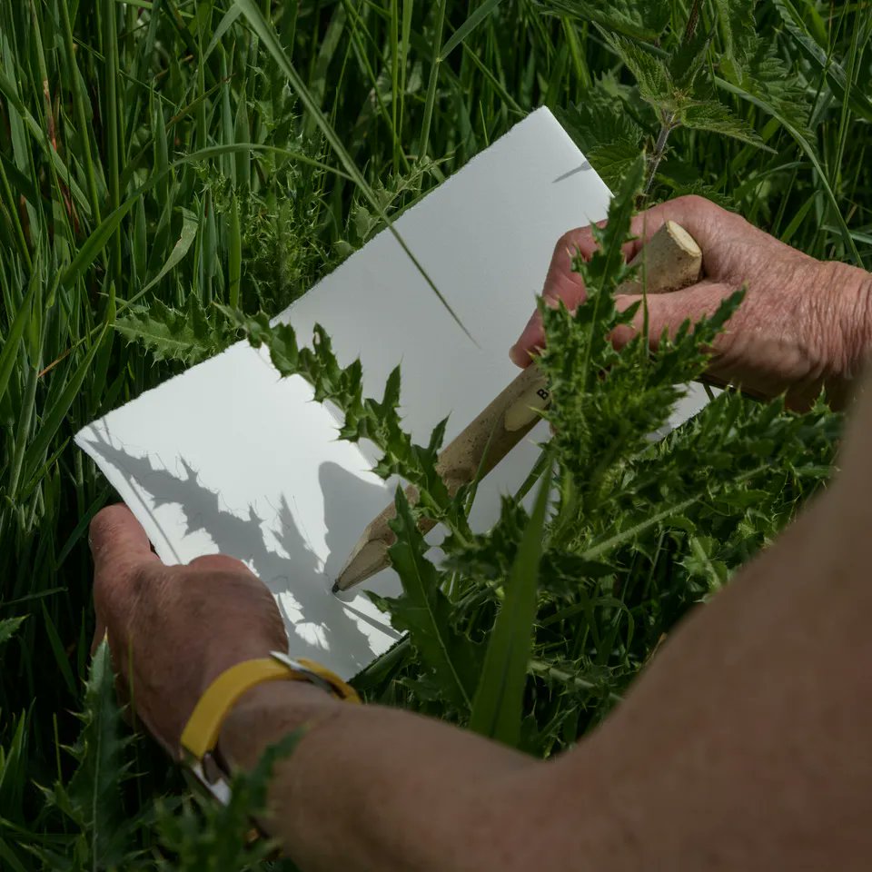 Today the WalkNorfolk festival programme was announced! 🥳 We've been invited to lead 2 public walks &amp; 2 walks with Vision Norfolk this Autumn. The annual festival led by @pathmakers encourages people to explore the trails of Norfolk. Find out more: buff.ly/3Ejjidq