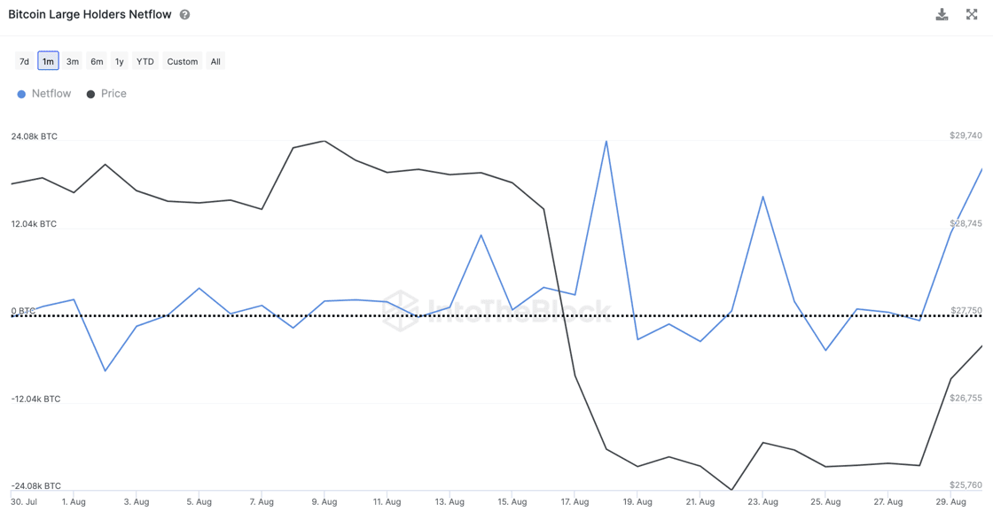 Bitcoin Whale Netflow