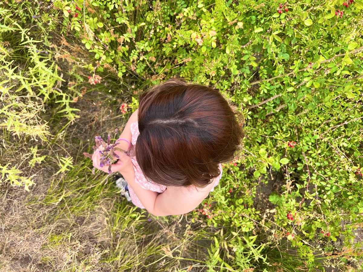 maya99839764's tweet photo. همچنان منو طبیعت:>> https://t.co/uhQOjgv8Z9