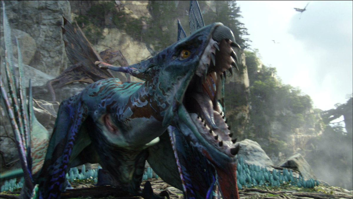 Sarah Popov, MSc 🦈 🇺🇦 Русский ⛴ иди нахуй tweet media