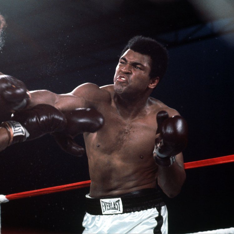 MuhammadAli's tweet photo. “Inside of a ring or out, ain’t nothing wrong with going down. It’s staying down that’s wrong.”

#MuhammadAli #Icon #Quote #Boxing #Champion #GOAT https://t.co/NqRNv7vohA