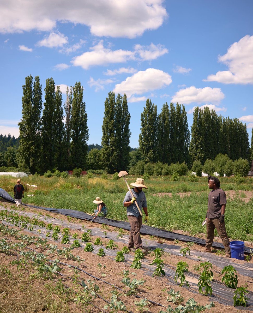 PhotoMeron's tweet image. small Axe Farm for the cover of @highcountrynews