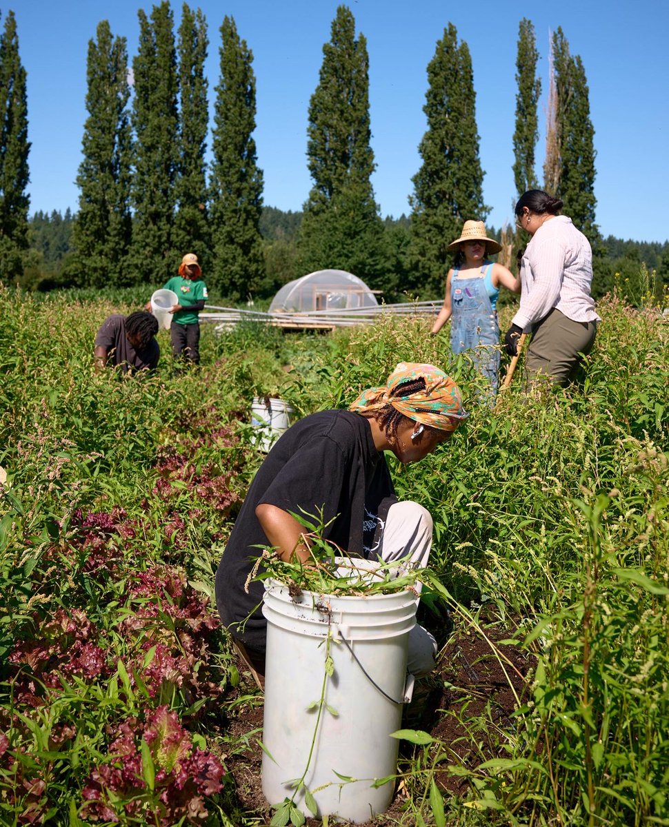 PhotoMeron's tweet image. small Axe Farm for the cover of @highcountrynews