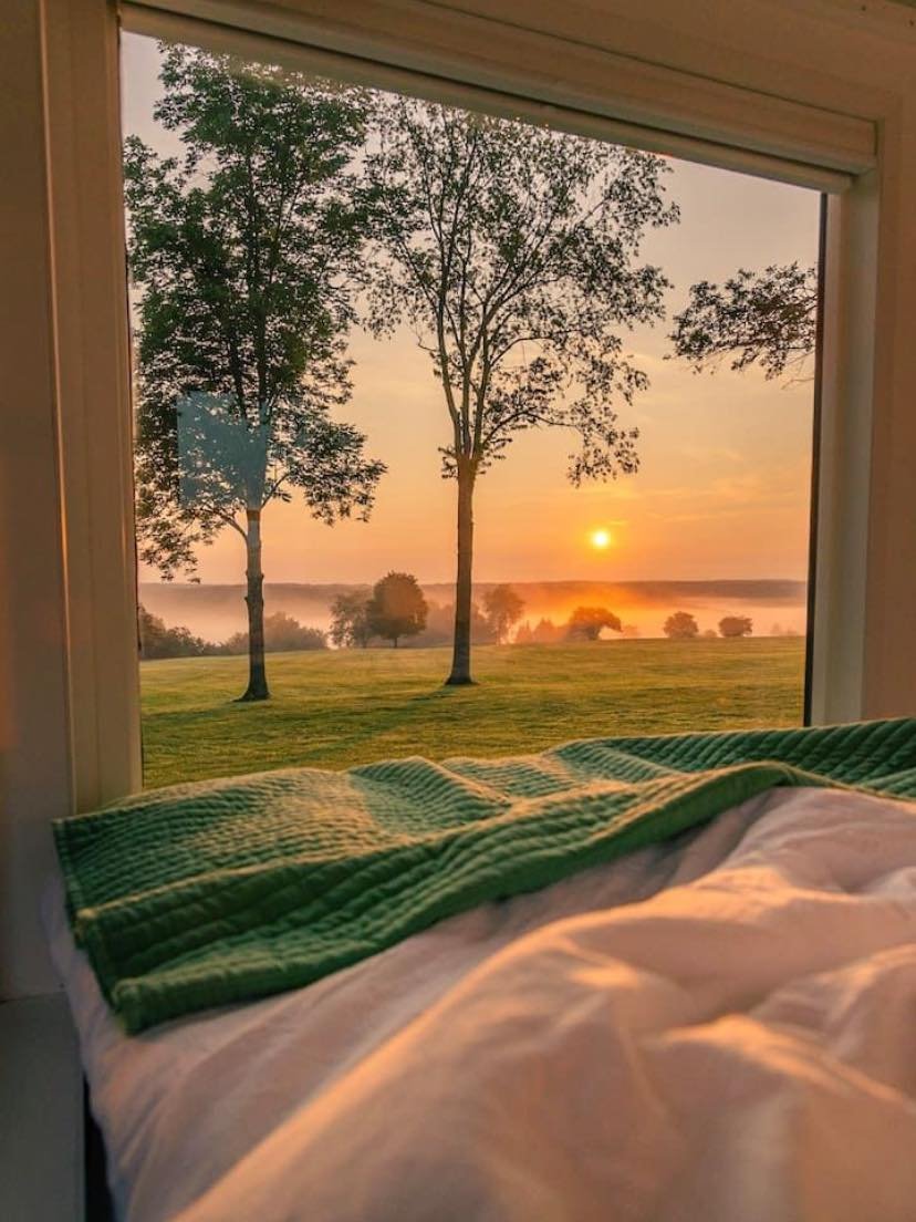 wake up to see this view