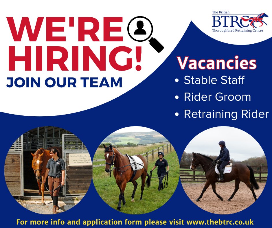 TheBTRC's tweet photo. 🔹Come and join #TeamBTRC 🔹

Find our more about our vacancies here: https://t.co/ounaGWbqS3

‼️ Closing Date: 11th September 2023 ‼️ https://t.co/YR2S9zUUwr