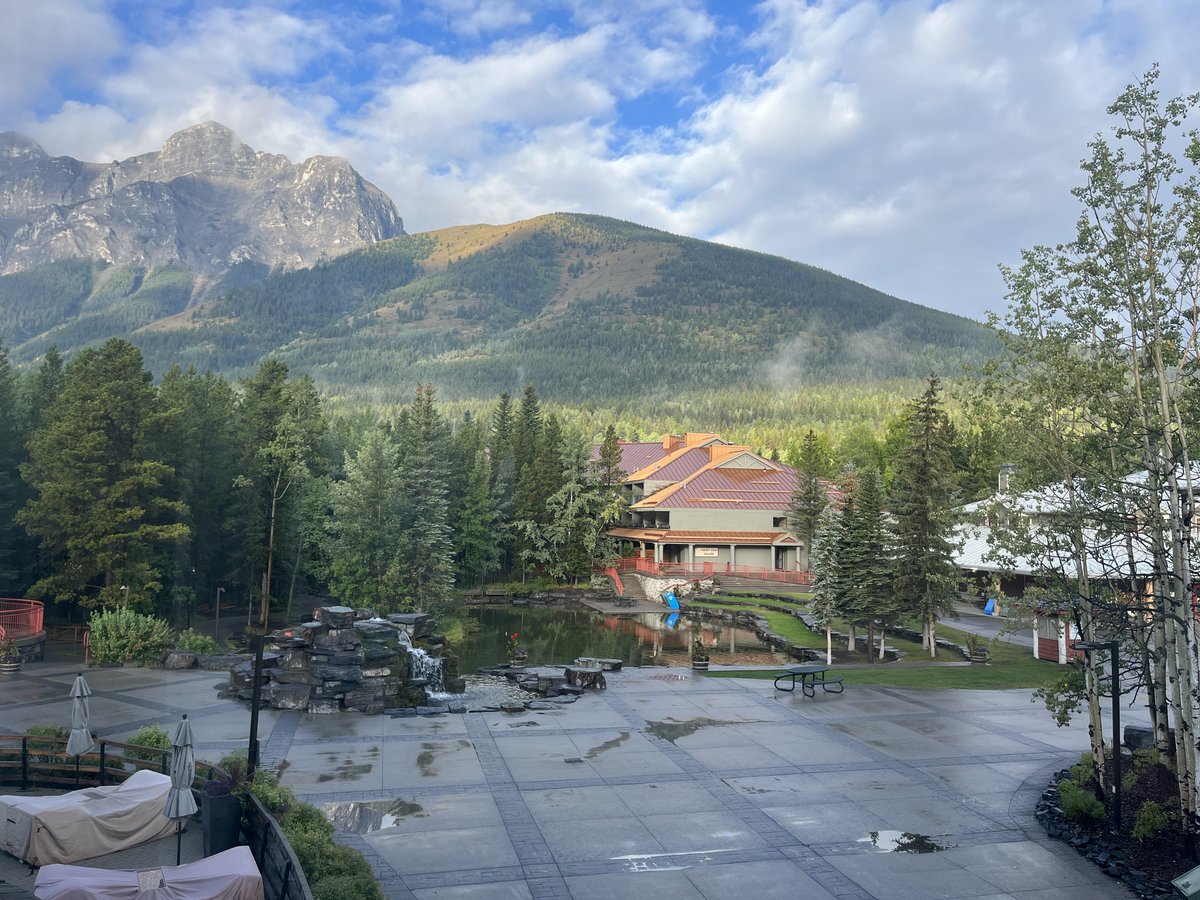 Tracy Lockwood, B. Ed, M.Ed tweet media