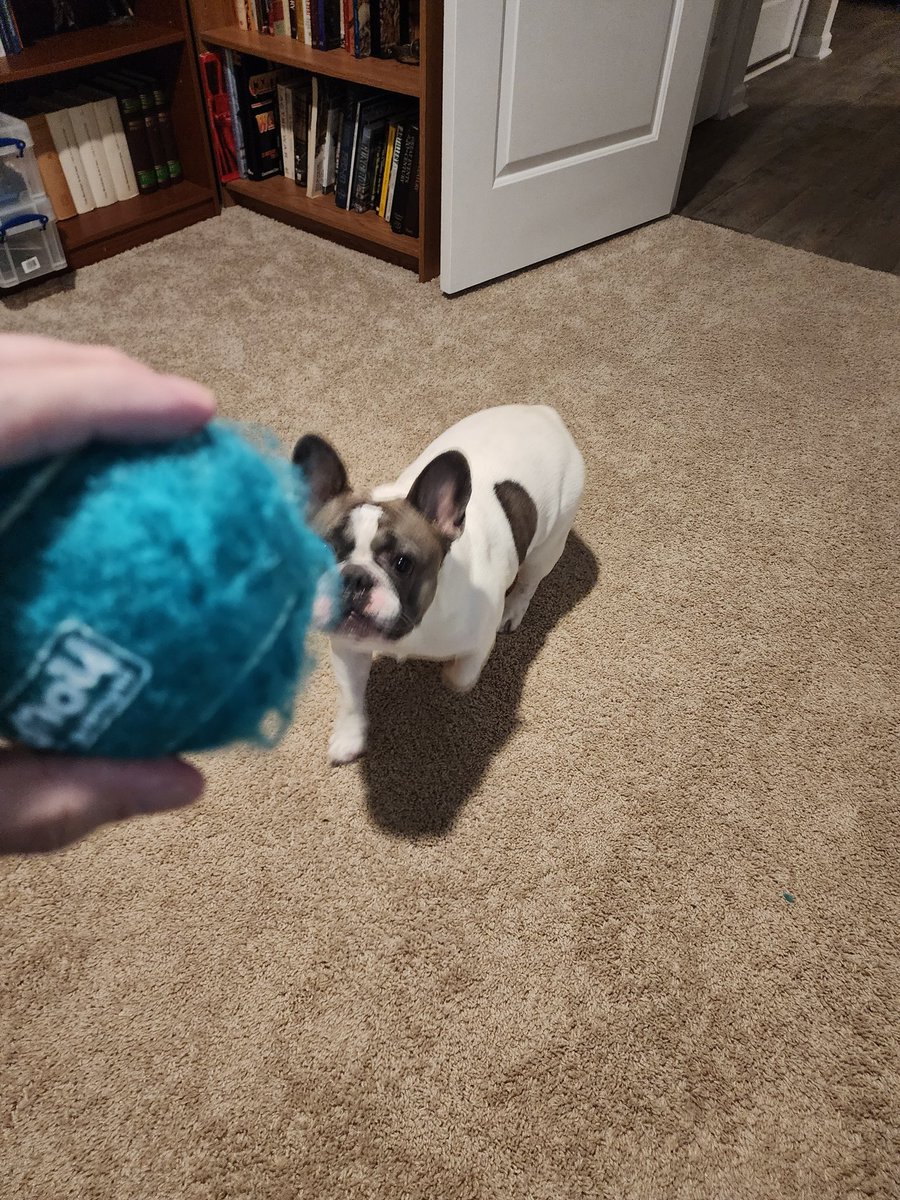 Old Man Dan tweet media