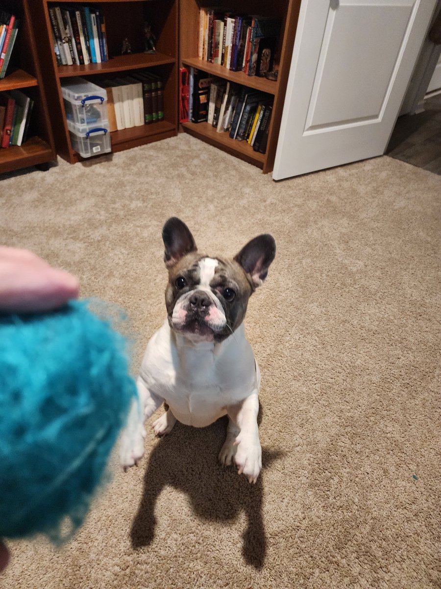 Old Man Dan tweet media