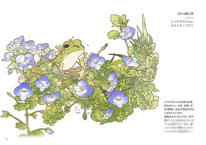 カエルカレンダー5年分をまとめた画集です。#COMITIA145 #コミティア145 #コミティア 