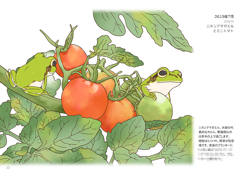 「カエルカレンダー5年分をまとめた画集です。#COMITIA145 #コミティア1」|逸架ぱずる@4/9までアクアトトぎふ｜3/30～いきものづくし名古屋のイラスト