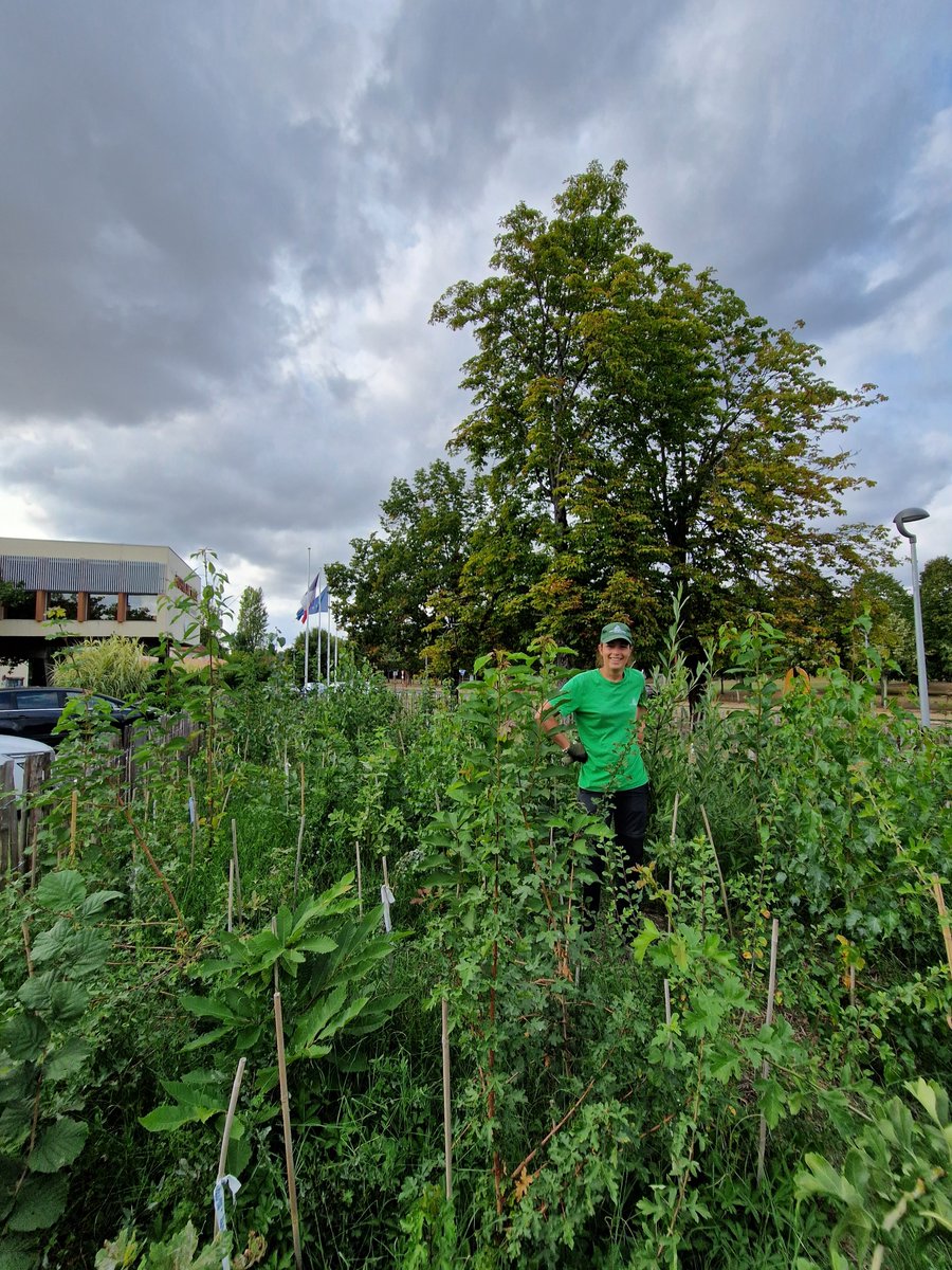 Paul-Antoine Evain tweet media