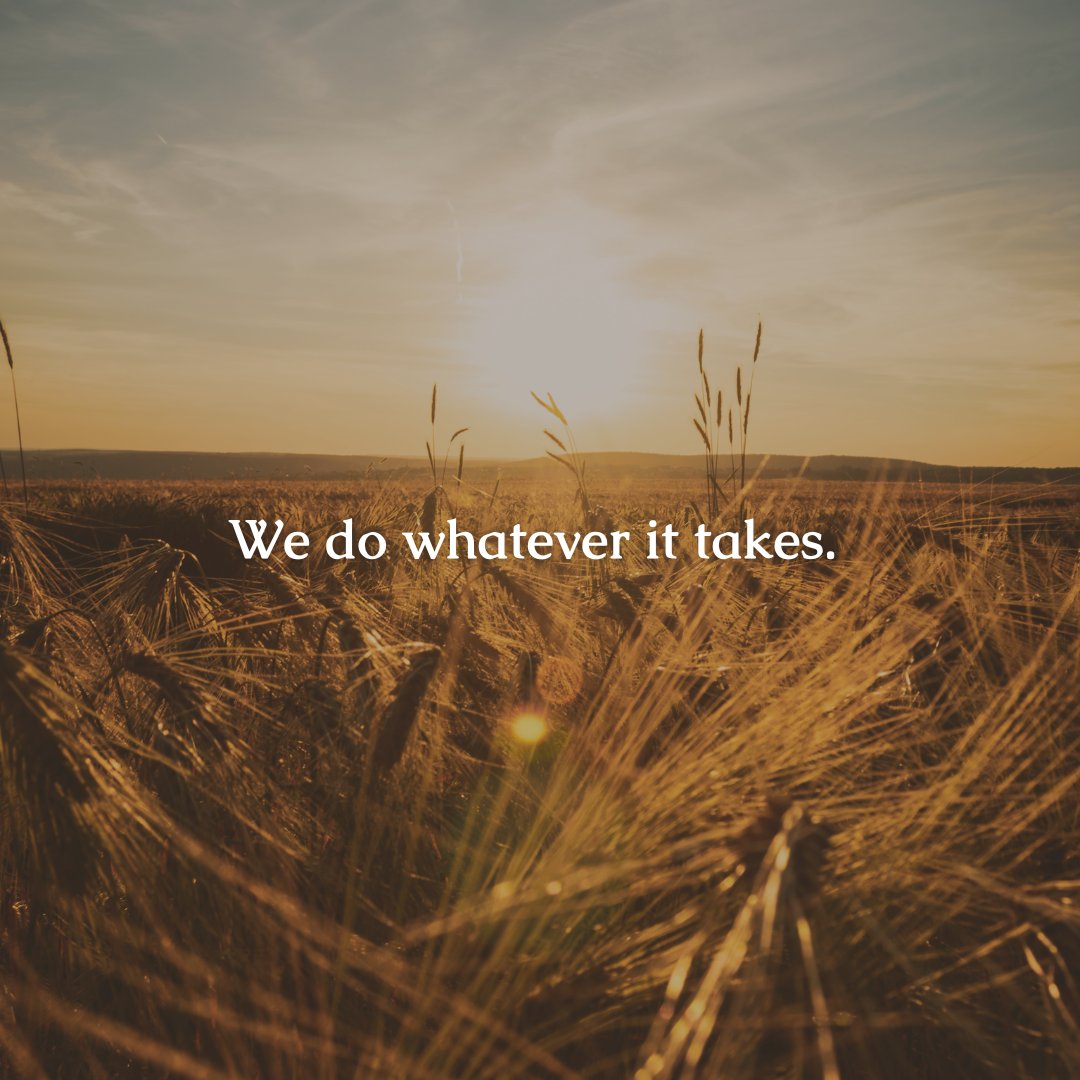 Learn more about our core values on our website ➡️ choicesinseniorcare.com

#corevalues #contractedcaremanagement #professional #dowhateverittakes