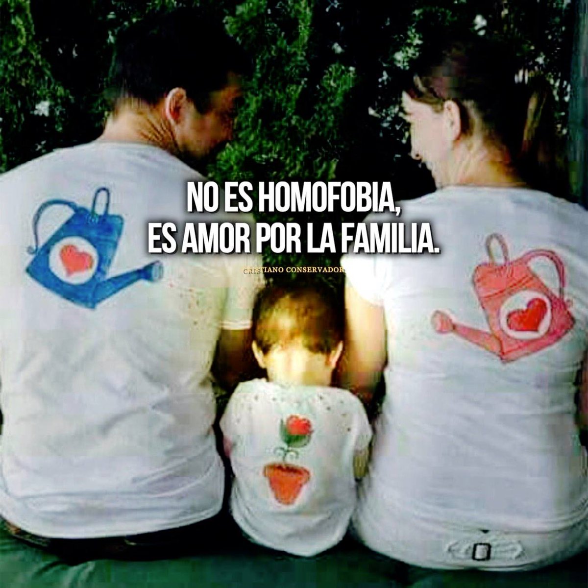 Guardianes De La Libertad tweet media