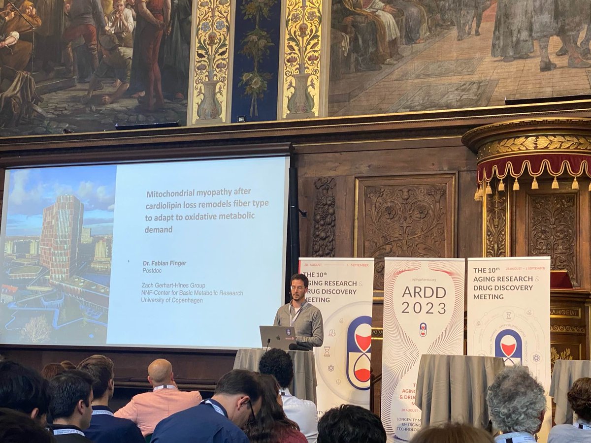Fabian Finger (@ffinger_) on Twitter photo Final day of the 2023 <a href="/ARDD_Meeting/">ARDD Meeting</a> is on. Time to say thanks 🙏 for a fantastic meeting and for giving me the chance to present a snapshot of our work in SkM 💪 - "Why fast glycolytic muscle decline first during aging". Spoiler 🚨: It's all about metabolism 😉 <a href="/Metabolcenter/">NNF Center for Basic Metabolic Research (CBMR)</a> Final day of the 2023 <a href="/ARDD_Meeting/">ARDD Meeting</a> is on. Time to say thanks 🙏 for a fantastic meeting and for giving me the chance to present a snapshot of our work in SkM 💪 - "Why fast glycolytic muscle decline first during aging". Spoiler 🚨: It's all about metabolism 😉 <a href="/Metabolcenter/">NNF Center for Basic Metabolic Research (CBMR)</a>