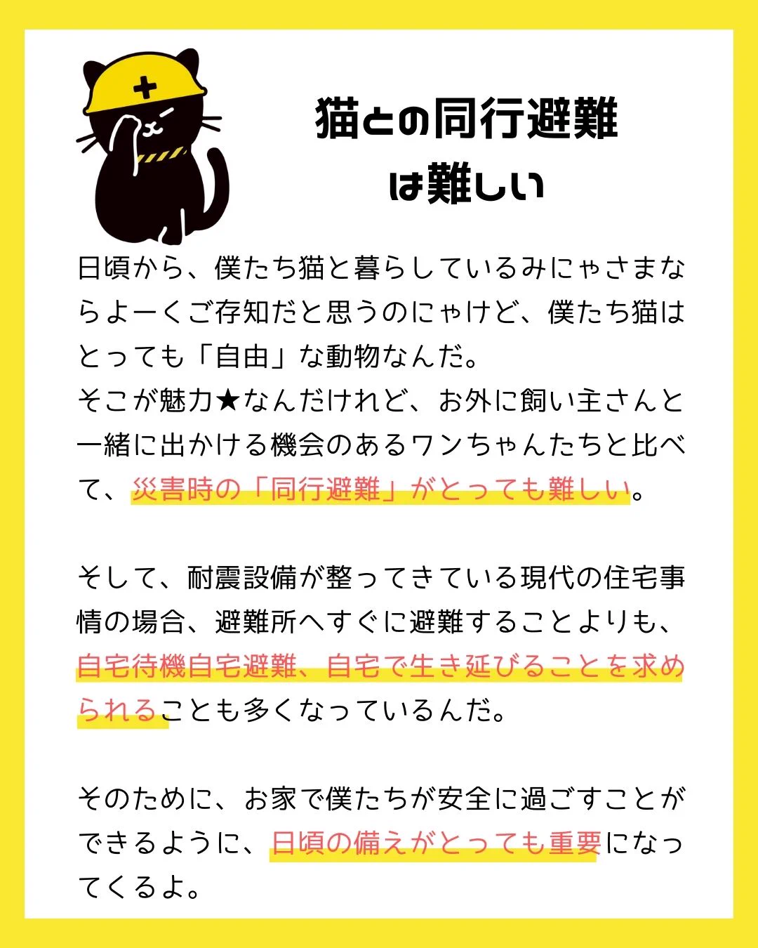 猫壱（necoichi）公式 on X: 
