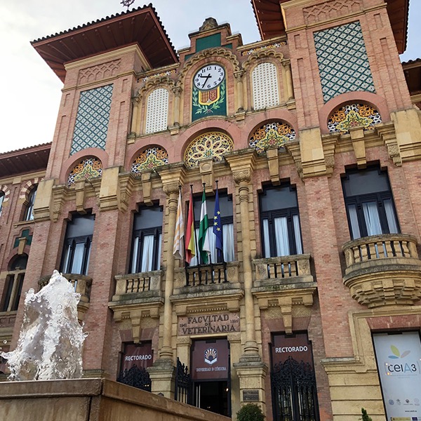 VeterinariaUCO's tweet photo. 🗣️El Consejo General de Colegios de Veterinarios de España ha ampliado plazo de presentación de comunicaciones II Congreso Internacional de Sanidad y #BienestarAnimal hasta el 6 de septiembre 
https://t.co/TKrJaQQAmq #BienestarAnimal #UnaSolaSalud #SanidadAnimal https://t.co/eczHKXp2W9