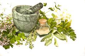 Augustus_wat's tweet photo. Are you passionate about herbal and traditional medicine? Join us for 9th International Conference &amp; Exhibition on Herbal &amp; Traditional Medicine, taking place in Dublin, Ireland, on October 09-10, 2023. For      more information visit: https://t.co/I87a8bI5DL #herbal #herbals https://t.co/DAy7S39Ugz